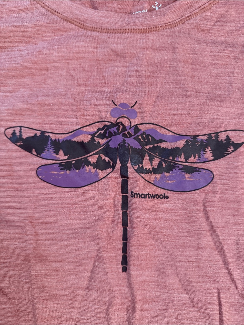 Smartwool Dusty Rose Dragonfly Tee - Picture 2 of 8